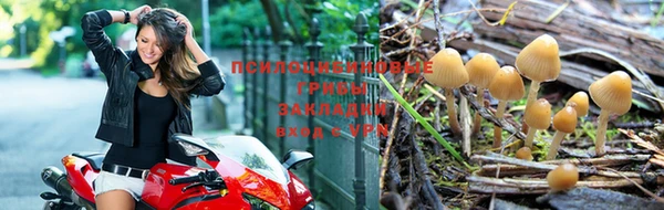 jwh Карталы