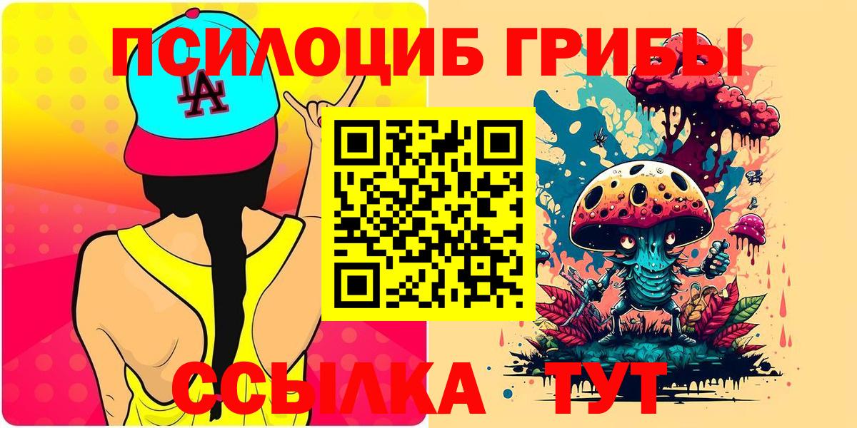 Псилоцибиновые грибы прущие грибы Кировск