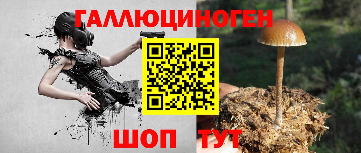 ГАШ Кировск