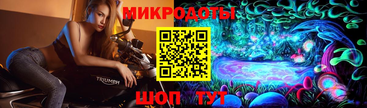 как найти закладки  Кировск  Псилоцибиновые грибы Magic Shrooms  Псилоцибиновые грибы Magic Shrooms 